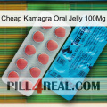 Cheap Kamagra Oral Jelly 100Mg new14